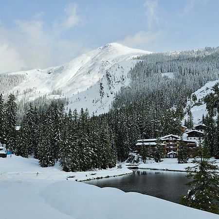 Hotel Sportalmmm, Hoch-Genuss (Adults Only) Zauchensee Eksteriør billede