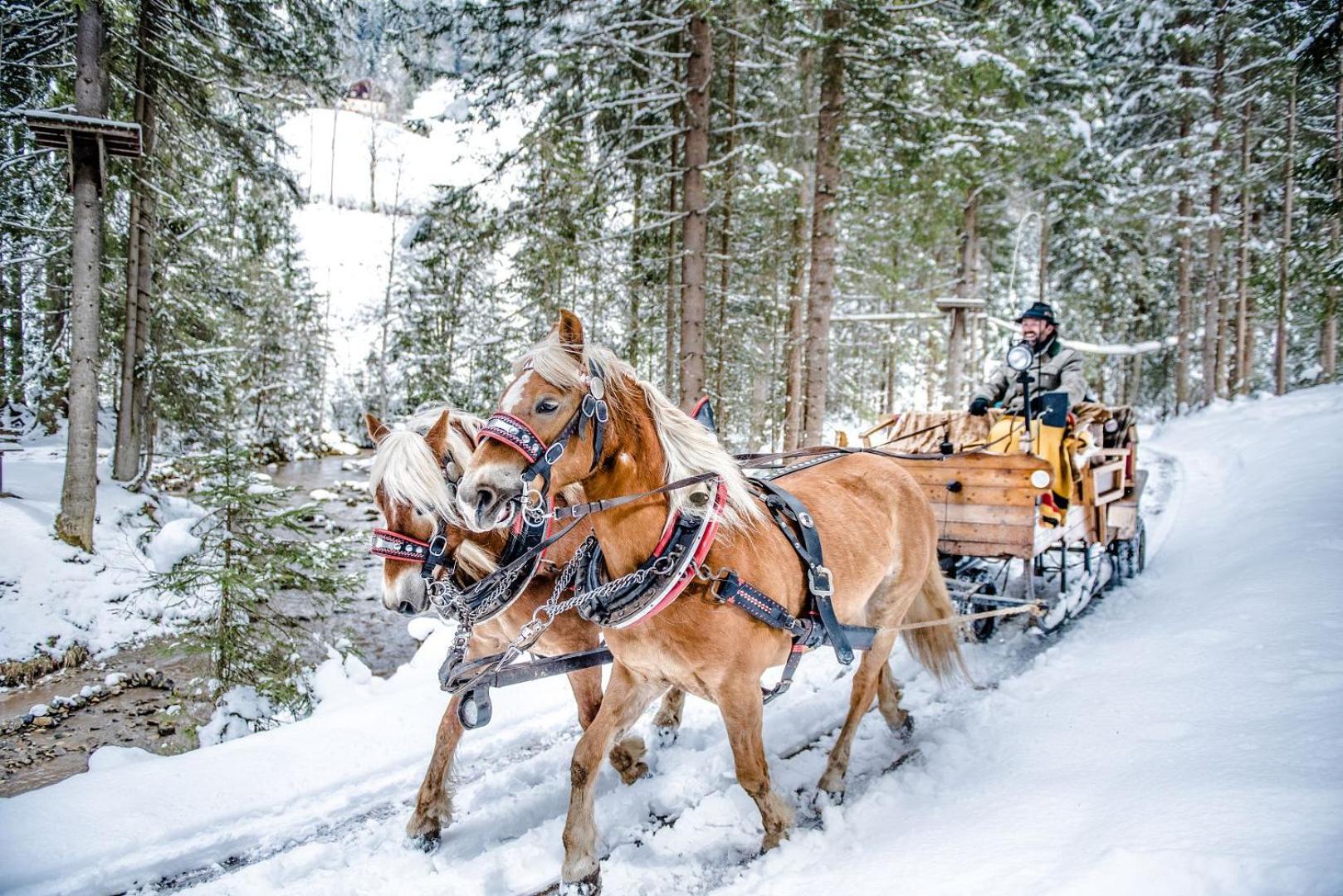 Hotel Sportalmmm, Hoch-Genuss (Adults Only) Zauchensee Eksteriør billede
