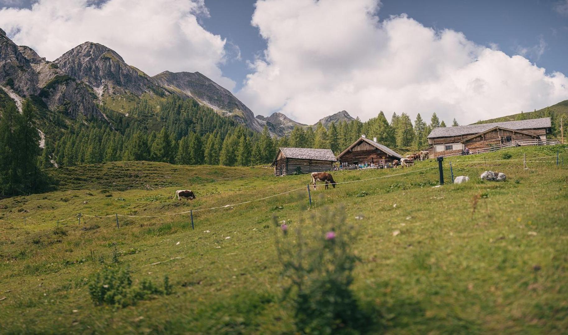 Hotel Sportalmmm, Hoch-Genuss (Adults Only) Zauchensee Eksteriør billede