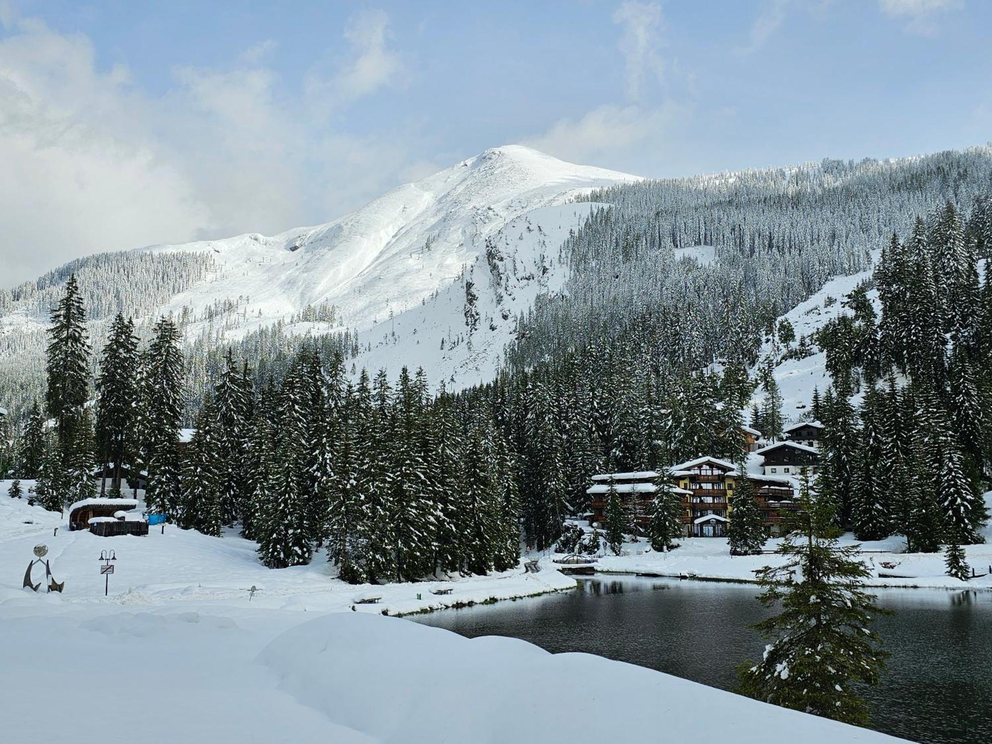 Hotel Sportalmmm, Hoch-Genuss (Adults Only) Zauchensee Eksteriør billede